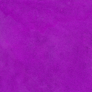 国自产拍在线天天更新2019
