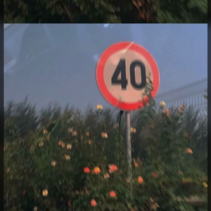 国自产拍在线天天更新2019
