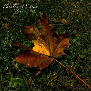 国自产拍在线天天更新2019
